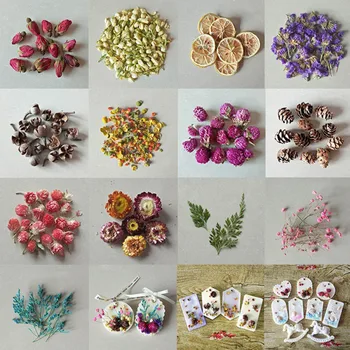 1Set Lisovaných Sušených Květin, Aromaterapie Svíčky pro Handmade Náhrdelník s Přívěskem Šperky Řemeslo Vonná Svíčka Příslušenství nové