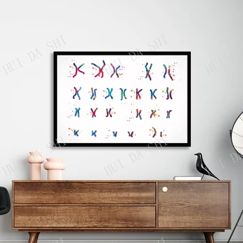 Mužský Chromozom Akvarel Tisk Karyotyp Lékařské Art Wall Umění, zdravotní Sestra Dárek Laboratoř, Věda, Umění Genetické idiogram Chromozomu